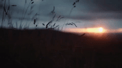 GIF by Eden