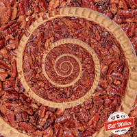 Pecan Pie Dessert GIF by Bill Miller Bar-B-Q