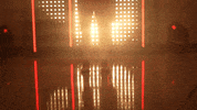 Utah Utes Softball GIF by NCAA Championships