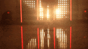 Utah Utes Softball GIF by NCAA Championships