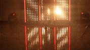 Utah Utes Softball GIF by NCAA Championships