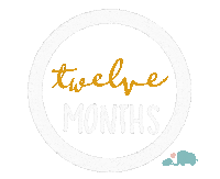 Babies Milestone Sticker by Baby Nest Designs