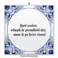 Humor Nl GIF by Tegelspreuken.nl