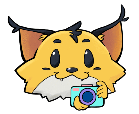 Phone Photo Sticker