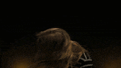 Happy Hair GIF by Jpixx