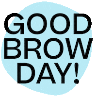 Beauty Lashes Sticker by Laura Brows