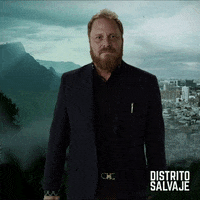 distrito salvaje apache GIF by netflixlat