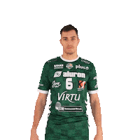 Virtu Sticker by Aluron CMC Warta Zawiercie