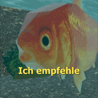 Goldfisch GIF