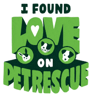 I Found Love Adopt Dont Shop GIF by PetRescue