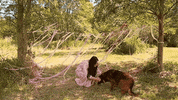 much cute dog animals nature GIF