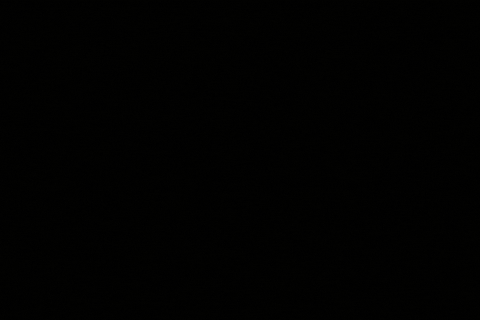Frog Azerbaijan GIF by TempInbox