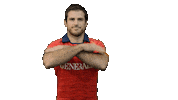 Fer Leones Sticker by FERugby