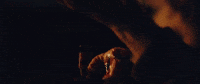 rock band GIF by Epitaph Records