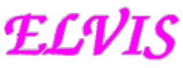 elvis presley fan Sticker