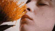 Secretly Canadian Love GIF by Shura