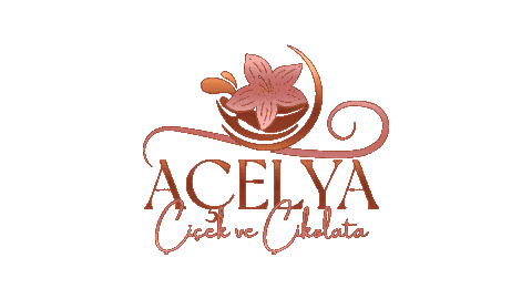 acelyacicek giphyupload açelya çikolata açelya çiçek acelya cicek Sticker