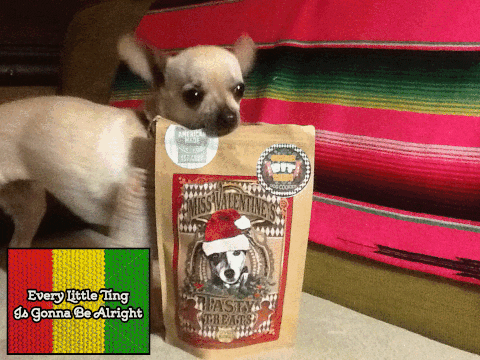 GIF by League of Crafty Canines