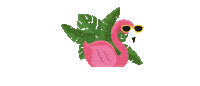 OTBahamas flamingo flamenco bahamas flamant Sticker