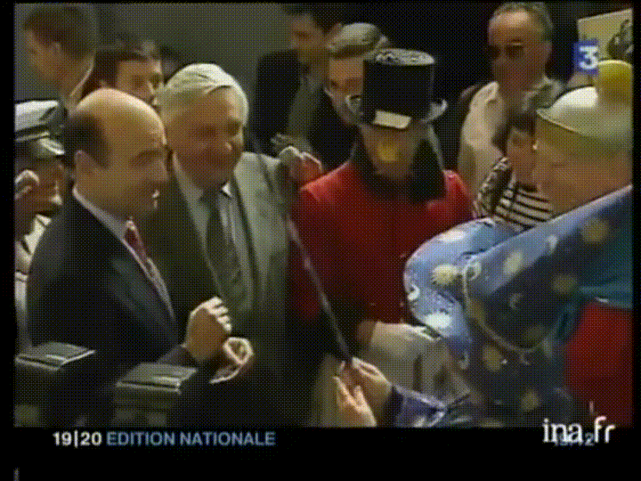 archive wtf GIF by franceinfo