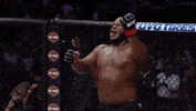 ufc 229 sport GIF by UFC