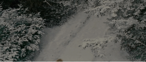 the holiday running GIF