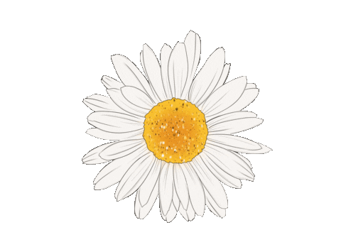 Flower Spring Sticker