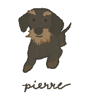 Wire Hair Dog Sticker