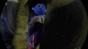 Bozoverse game fun party team GIF