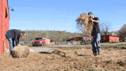 Spring Working GIF by JC Property Professionals