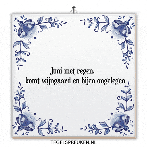 Rust Regen GIF by Tegelspreuken.nl