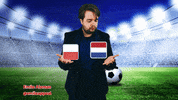 Football Netherlands GIF