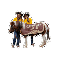 University Of Wyoming Cowboys Sticker by Wyoming Residence Life