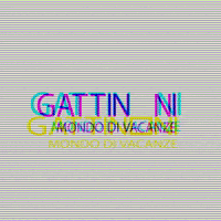 gattinonivacanze  GIF
