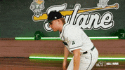 College Baseball Kyle GIF by GreenWave