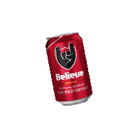 Believe World Cup Sticker by Jupiler Belgium