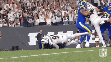 National Football League GIF by NFL