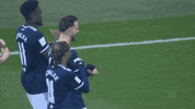 Football Sport GIF by FC Schalke 04