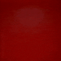 Sheridan Wilson GIF by Texas Tech Football