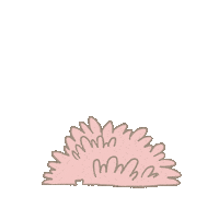 TsaiChueh hello bear 熊 嗨 Sticker