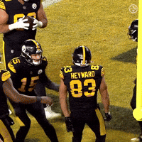 Excited Celebration GIF by Pittsburgh Steelers