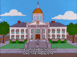 homer simpson court GIF