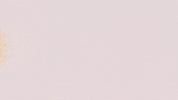 Football Sport GIF by FC Red Bull Salzburg