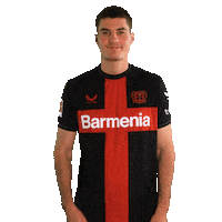 Bayer 04 Love Sticker by Bayer 04 Leverkusen