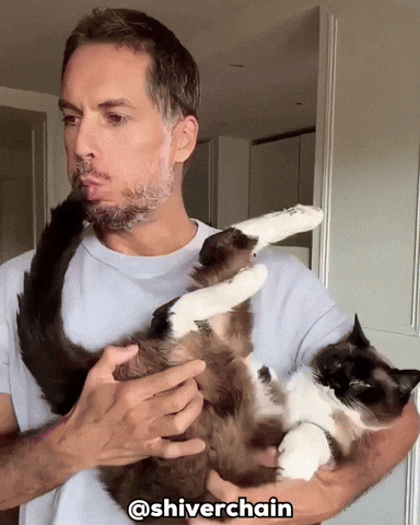 Cat Eat GIF