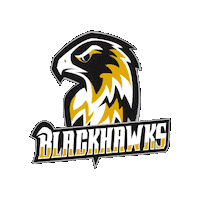MuensterBlackhawks american football blackhawks muenster Sticker