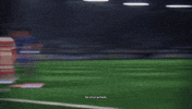 France Celebration GIF by EA SPORTS FC