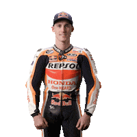 Honda Sport Sticker by MotoGP