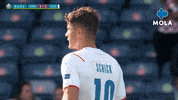 Euro 2020 Reaction GIF by MolaTV