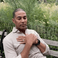 Don Lemon GIF by Respective